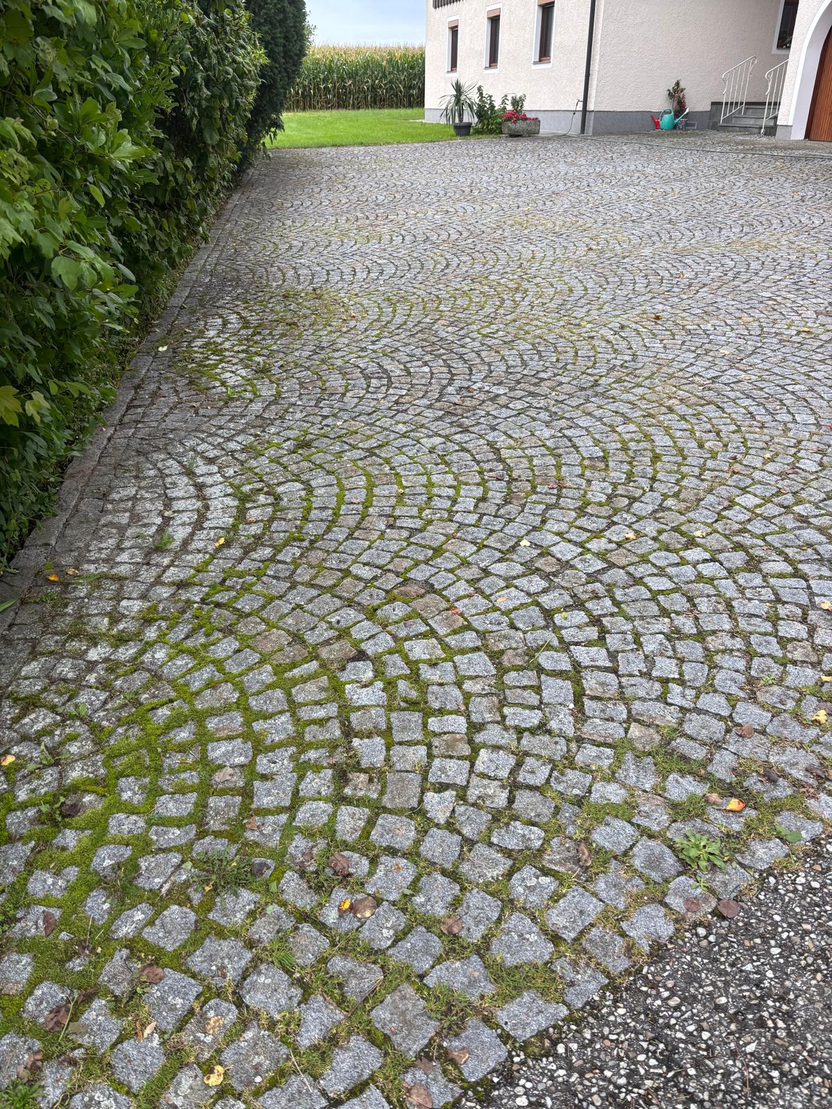 Pflaster- und Betonaufbereitung - Vorher